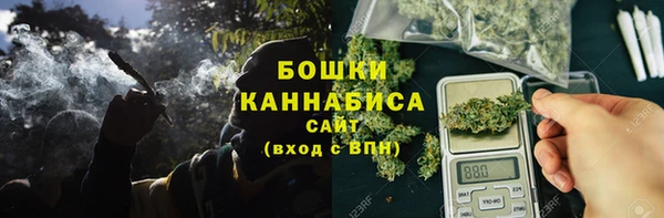 прущие грибы Бородино