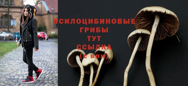 синтетический гашиш Бронницы
