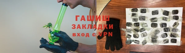 прущие грибы Бородино