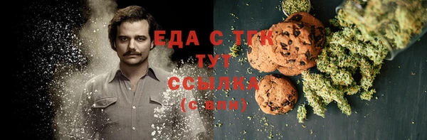 прущие грибы Бородино
