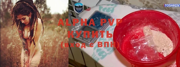 прущие грибы Бородино