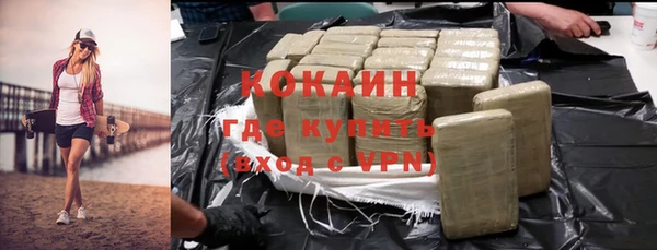 прущие грибы Бородино