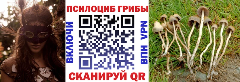 Псилоцибиновые грибы мицелий Медынь